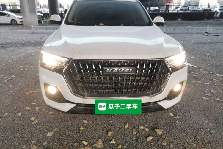 Used Haval H6 2023 National Trend Edition 1.5T Automatic Urban Version
