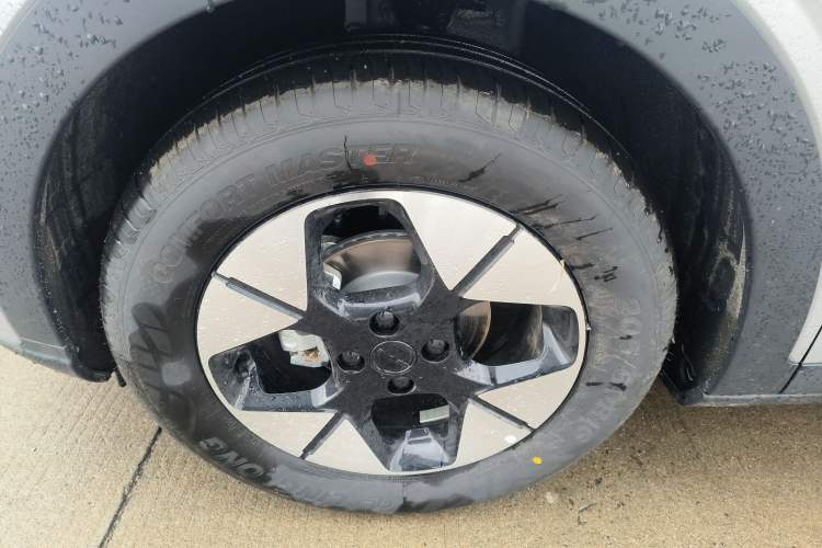 Used  Geome 2025 310km Dream Edition
