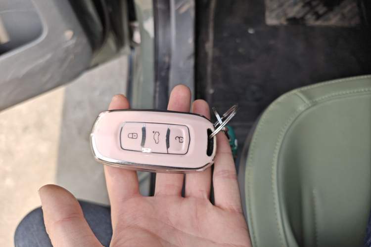 Used  Panda 2024 200km Panda Rider
