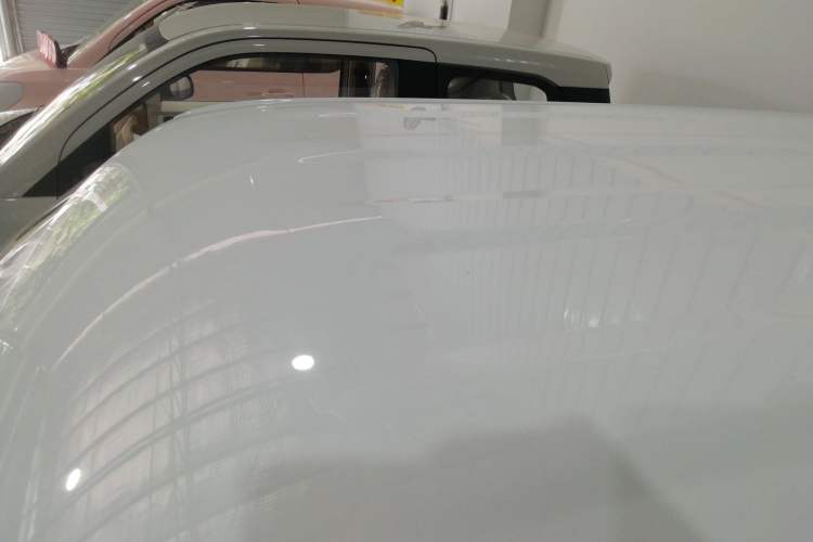 Used  Panda 2024 Panda Mini 200km Endurance Bear
