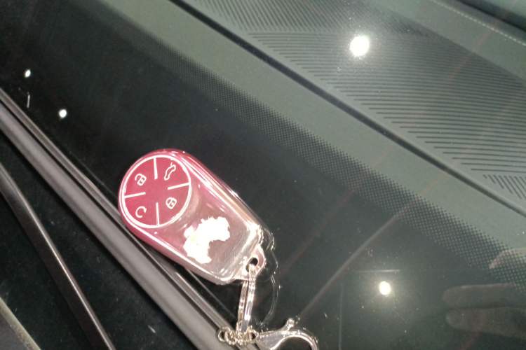 Used EXEED Lingyun 2025 300T Two-Wheel Drive Starry Edition