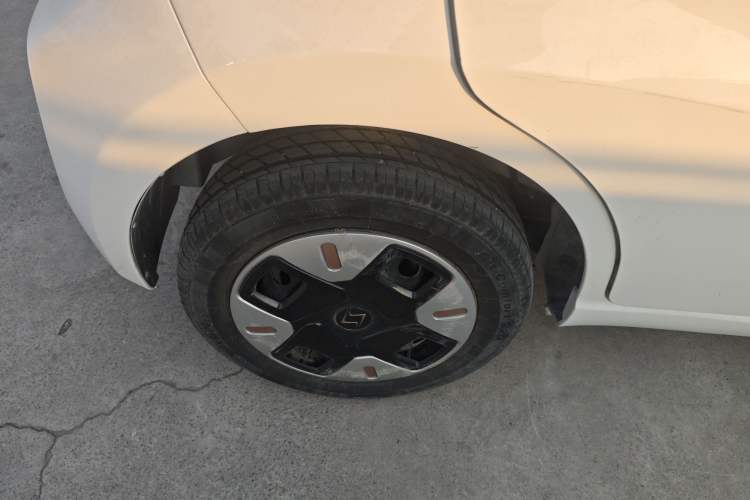 Used SOL E10X 2022 Flower Fairy Design Four-Leaf Clover