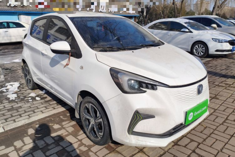 Used Oshan Benni E-Star 2020 Heartbeat Edition NMC Lithium
