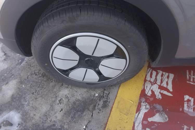 Used  Geome 2025 310km Youth Edition