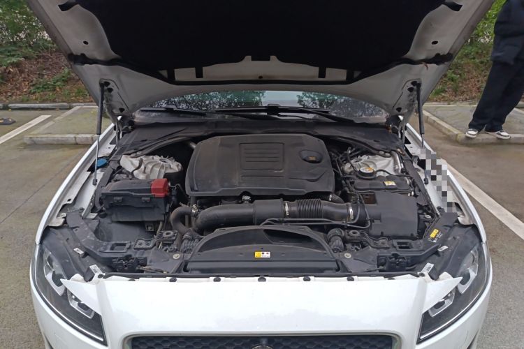 Used Jaguar XFL 2020 XFL 2.0T P200 Two-Wheel-Drive Windflower Edition
