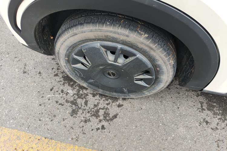 Used BYD Seagull 2025 305km Active Version