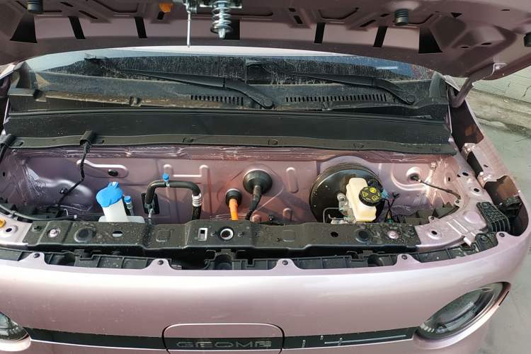 Used  Panda 2025 210 km – Yuanqi Bear
