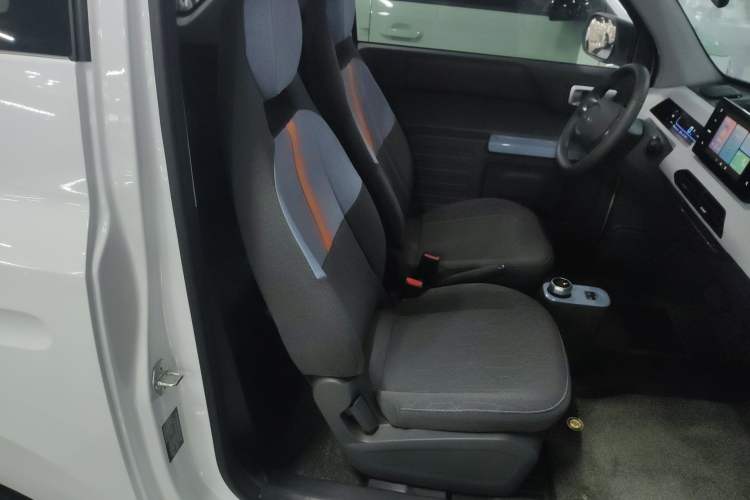 Used  Panda 2024 Panda Mini 200km Endurance Bear
