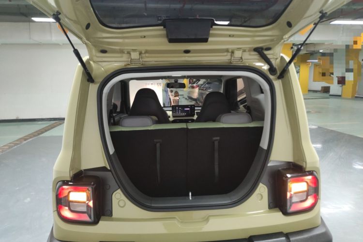 Used  Panda 2024 200km Panda Rider
