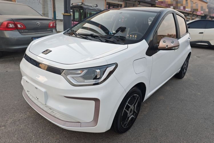 Used SOL E10X 2022 Flower Fairy Design Four-Leaf Clover