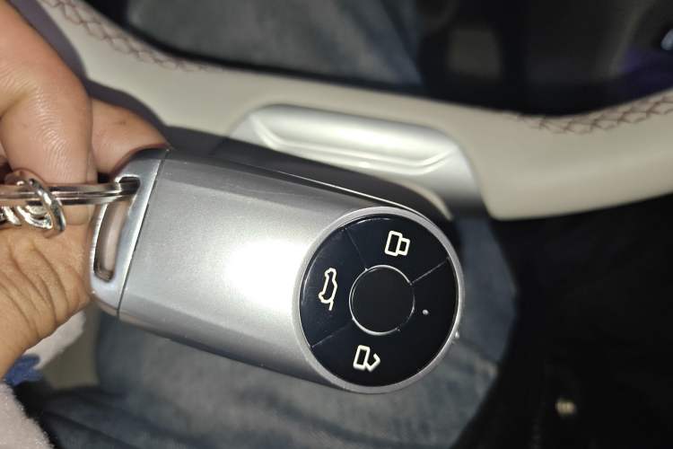 Used ORA Good Cat 2021 400km Standard Range Athena Edition Lithium-Ion Battery