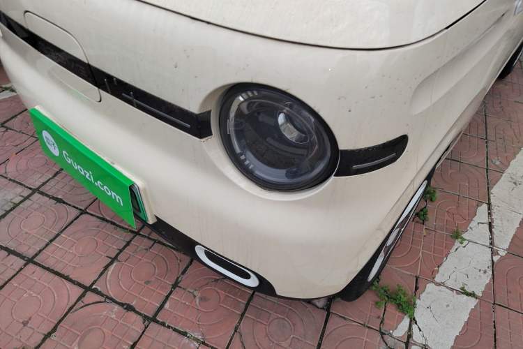 Used  Panda 2025 210 km – Yuanqi Bear
