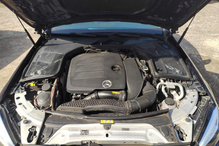 Used Mercedes-Benz C-Class 2019 C 260 L Sport Edition
