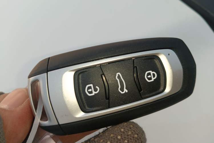 Used  Panda 2024 Panda Mini 200km Endurance Bear
