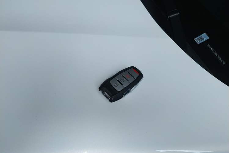 Used Great Wall Poer 2024 2.4T Commercial Version Automatic Diesel 4x4 Elite Edition
