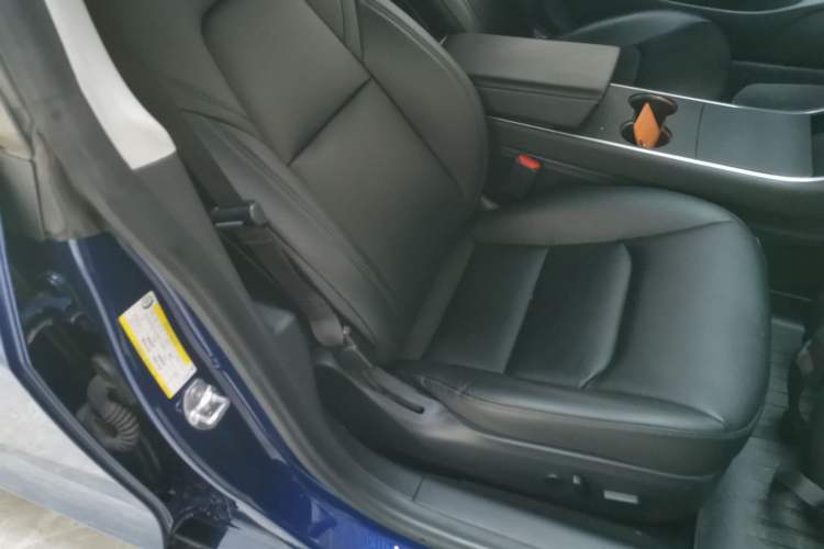 Used Tesla Model 3 2019 Standard Range Rear-Drive Upgraded Version