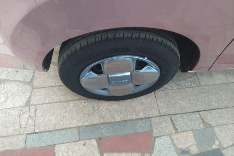 Used  Panda 2024 Panda Mini 200km Endurance Bear
