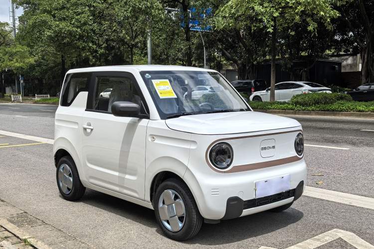 Used  Panda 2024 Panda Mini 200km Endurance Bear