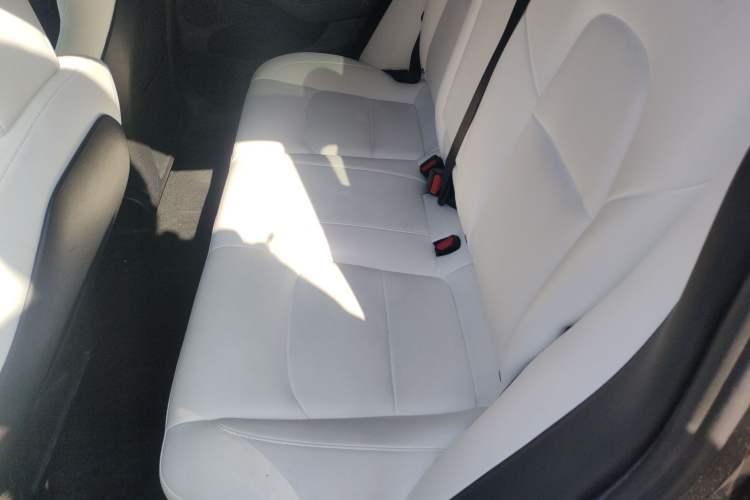 Used Tesla Model 3 2022 Rear-Wheel-Drive Version
