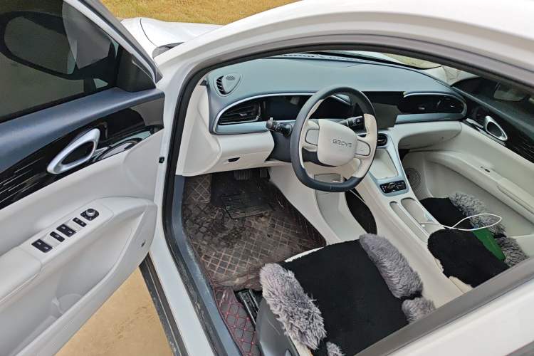 Used  Geome 2025 310km Youth Edition
