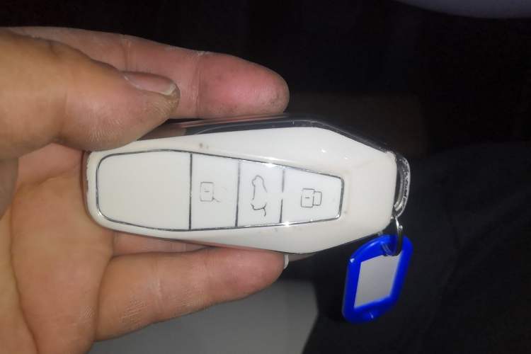 Used  03 2024 501km Four-wheel Drive Long-Range Advanced Version