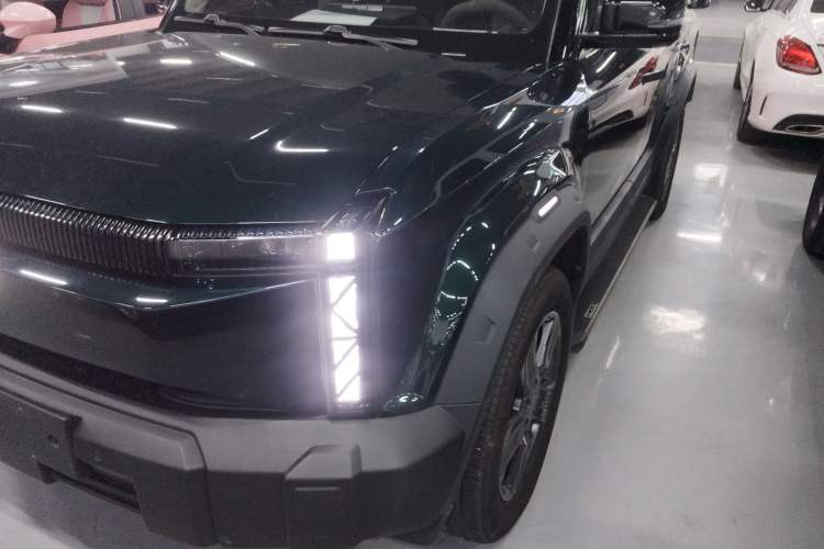 Used  03 2024 501km Two-Wheel Drive Long-Range Version