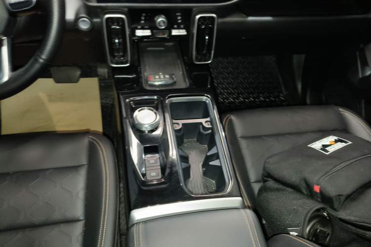 Used Haval DARGO 2022 2.0T DCT 4x4 Chinese Rural Dog Edition
