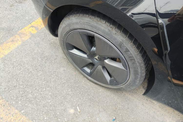 Used Tesla Model 3 2022 Rear-Wheel-Drive Version
