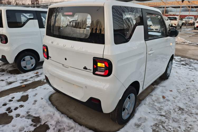 Used  Panda 2024 Panda Mini 200km Endurance Bear