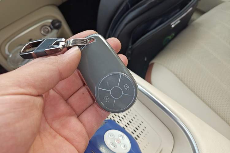 Used ORA Good Cat 2023 401 km Standard Range Premium Version Lithium Iron Phosphate
