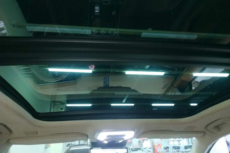 Used Hongqi H9 2020 3.0T Smart Connect Flagship Four-Seat Version