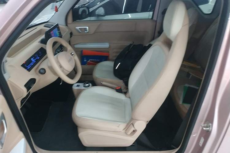 Used  Panda 2024 Panda Mini 200km Longteng PRO Edition
