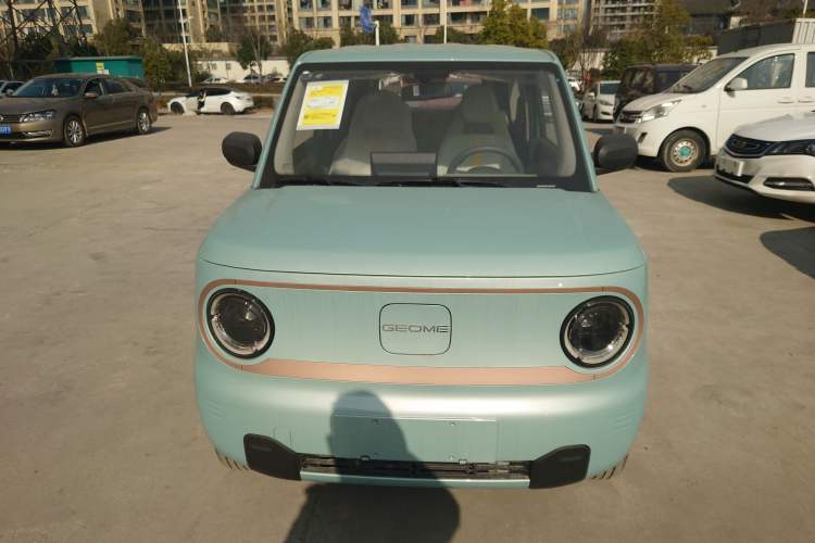 Used  Panda 2024 Panda Mini 200km Endurance Bear
