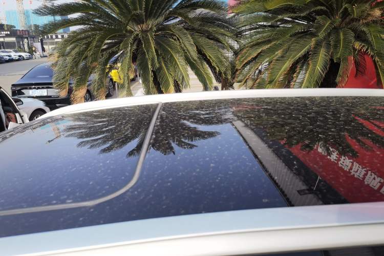 Used Haval H6 2023 National Trend Edition 1.5T Automatic Urban Version
