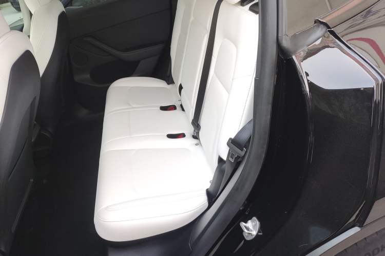 Used Tesla Model Y 2021 Standard Range Rear-Wheel Drive Version