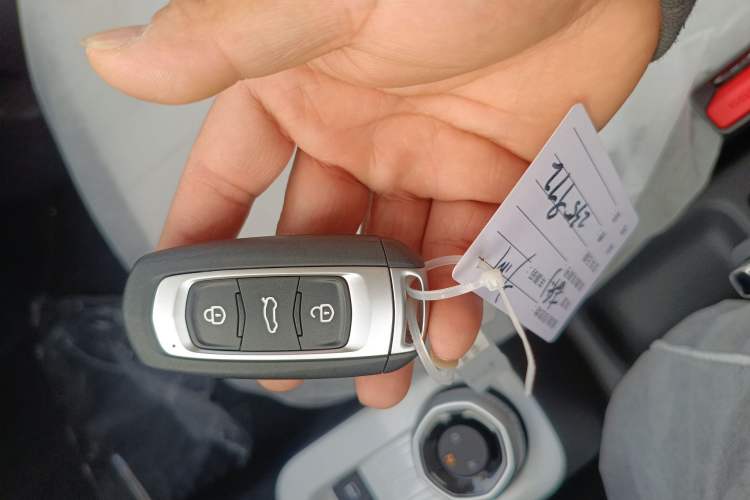 Used  Panda 2025 210km Panda Kart