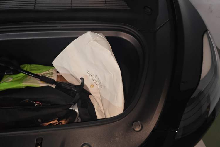 Used Tesla Model Y 2021 Standard Range Rear-Wheel Drive Version
