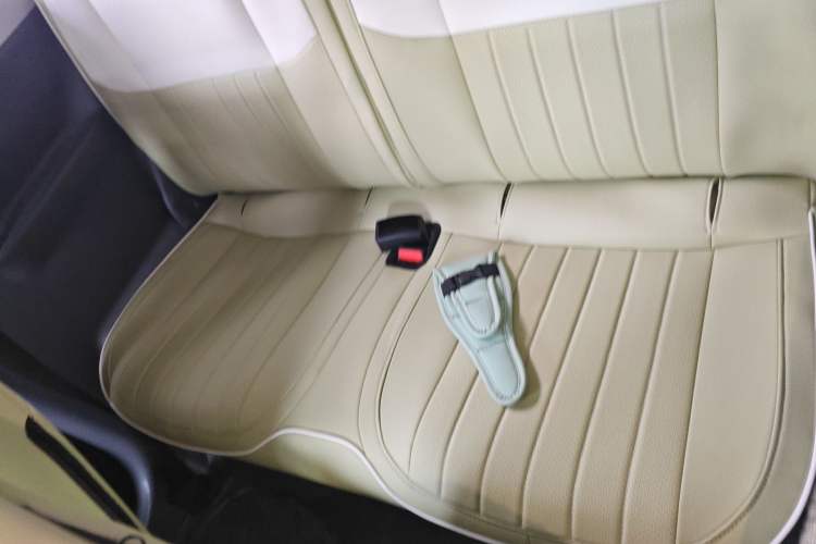 Used  Panda 2023 Panda Mini 120km Asian Games Edition
