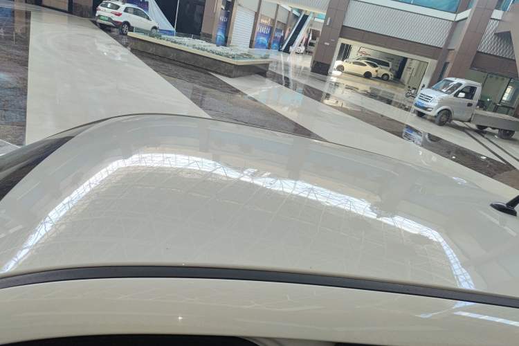 Used ORA Black Cat 2019 351 km Fun Edition