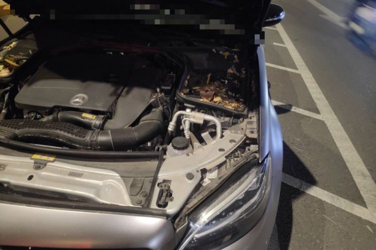 Used Mercedes-Benz C-Class 2020 C 260 Sport Edition
