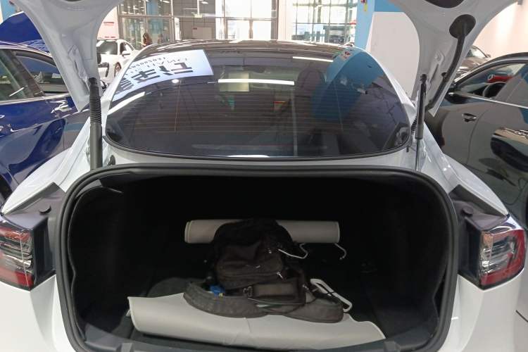 Used Tesla Model 3 2021 Standard Range Rear-Wheel Drive Upgraded Version 3D6
