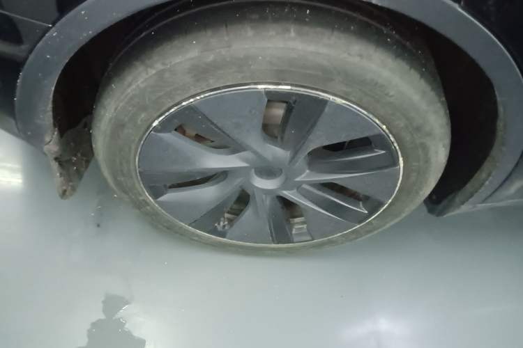 Used Tesla Model Y 2023 Rear-Wheel-Drive Version