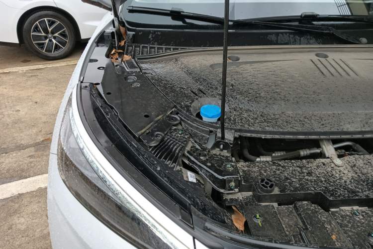 Used BYD Yuan PLUS 2025 Intelligent Driving Version 510 KM Beyond-Grade Edition
