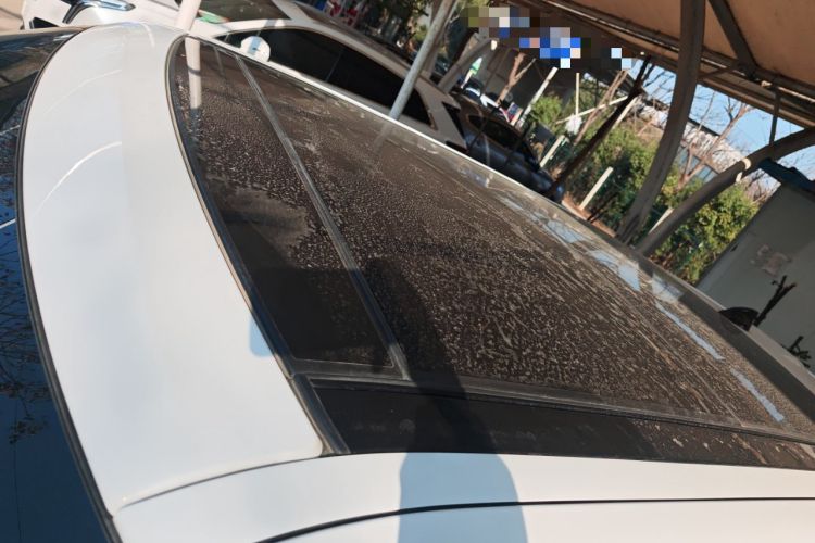 Used Land Rover Range Rover SportNew Energy 2018 P400e
