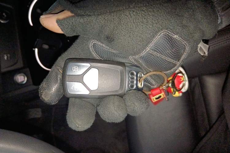 Used Audi A5 2023 Cabriolet 40 TFSI Fashion Dynamic Model
