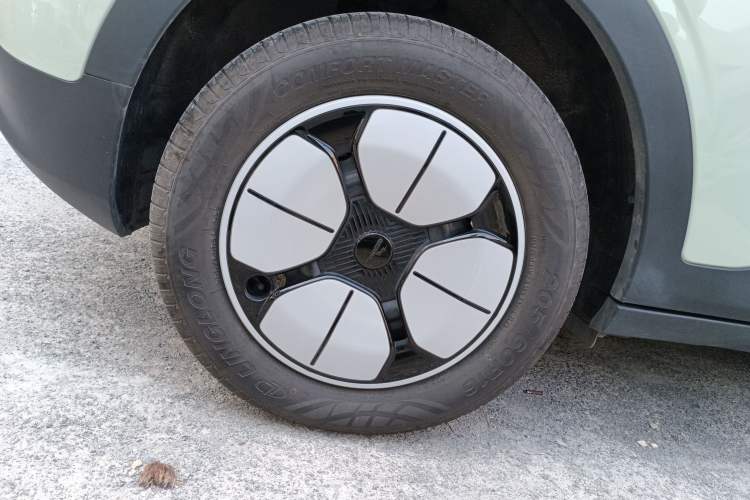 Used  Geome 2025 310km Youth Edition
