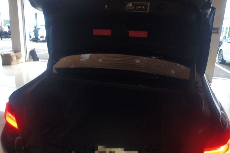 Used BMW 5 Series 2020 530Li Luxury Edition Premium Package