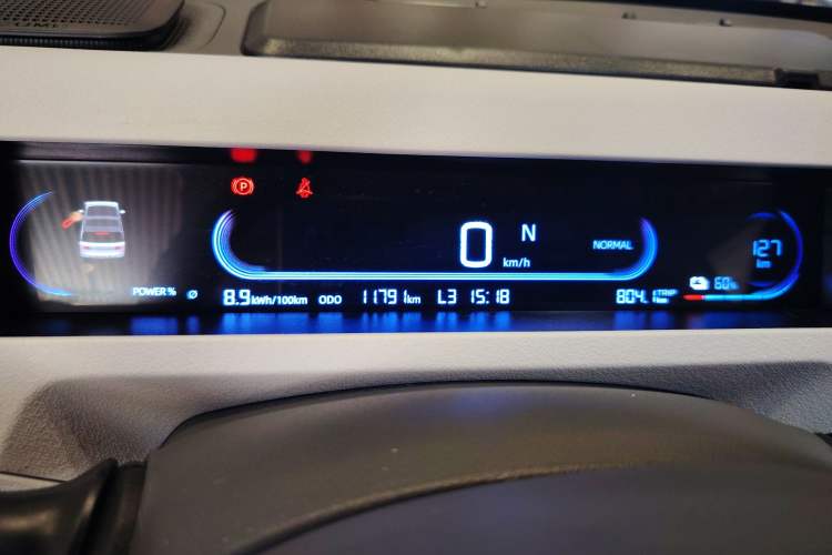 Used  Panda 2024 Panda Mini 200km Endurance Bear