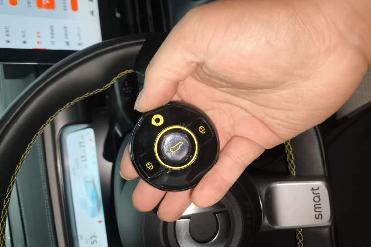 Used smart #1 2022 Pro+ Edition