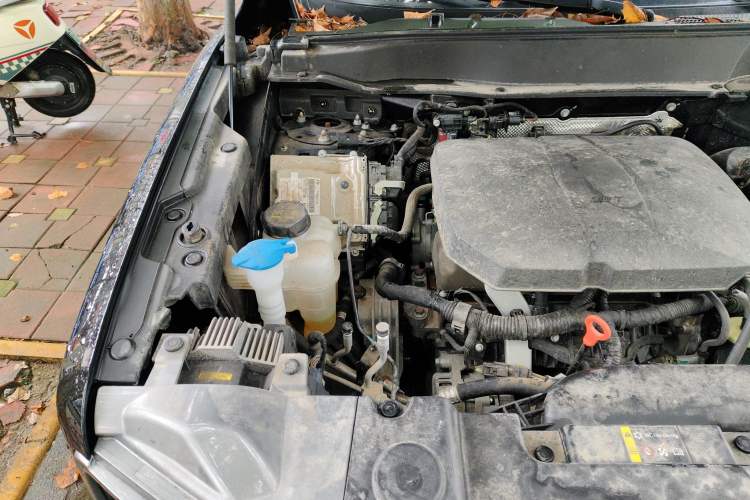 Used Haval DARGO 2024 2.0T DCT Chinese Rural Dog Edition